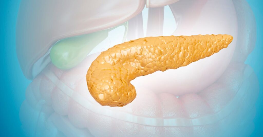 Pâncreas: anatomia, funções e principais doenças - Guia completo